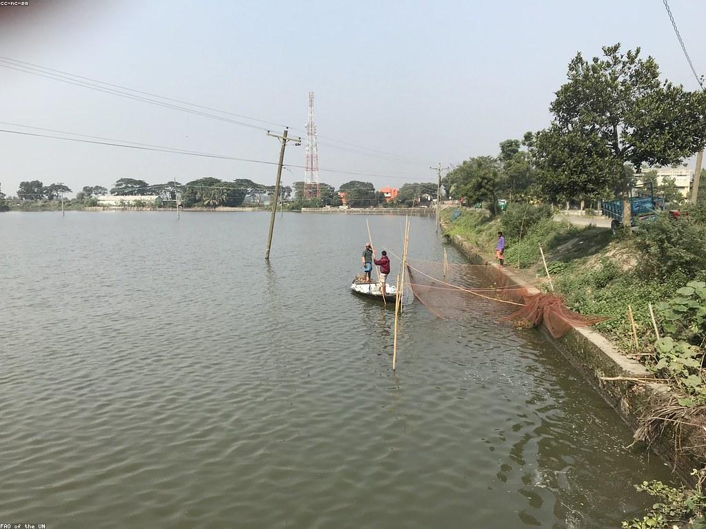 ការយល់ដឹងអំពីបច្ចេកទេសនៃការបាញ់ត្រី