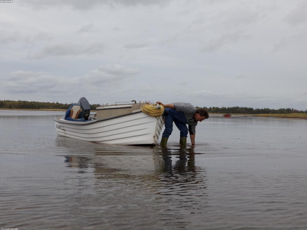 ចំនេះដឹងអំពីបច្ចេកទេសនៃការបាញ់ត្រី