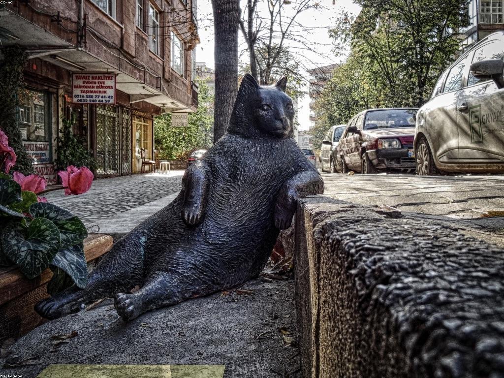 ឧបករណ៍ និងសម្ភារៈ: ការប្រើប្រាស់ និងសមត្ថភាព