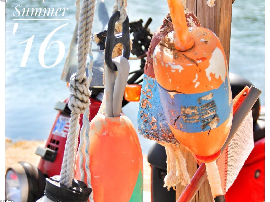 ចំនេះដឹងអំពីបច្ចេកទេសនៃការបាញ់ត្រី